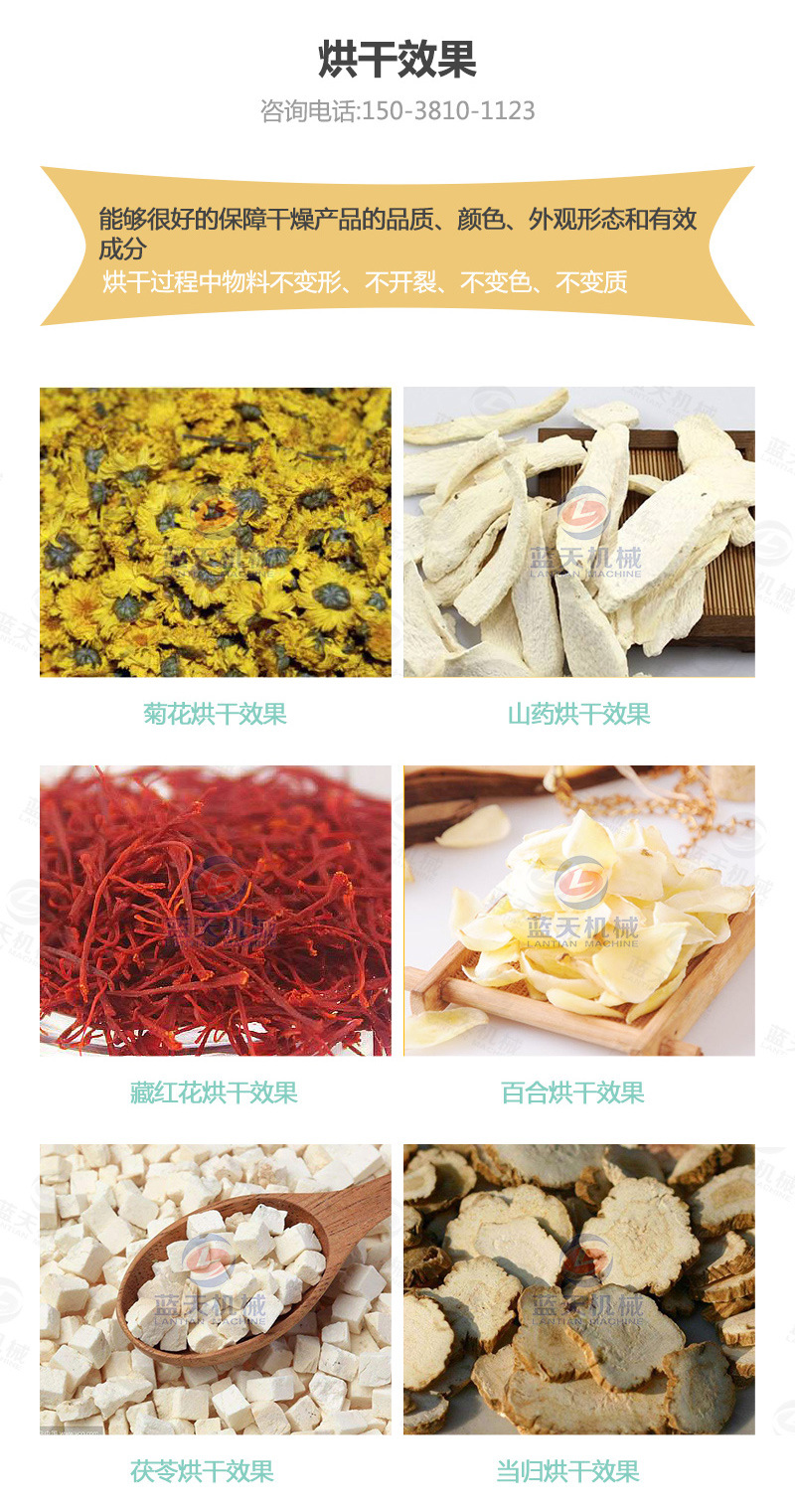 帶式山藥烘干機(jī)烘干效果